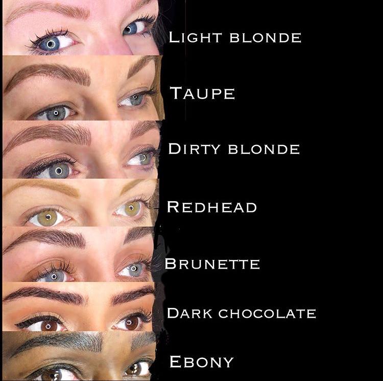 PMU - EYEBROW SET - WAVERLY COLOR-2